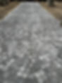 IMG_9346.jpeg