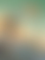 Février 2021, découvrez notre sélection !