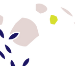 CBD Creams and Lotions