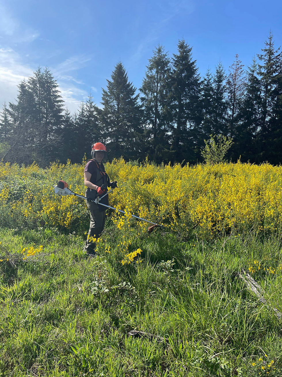 Cleaning and Clearing