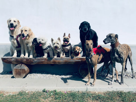 2021-09-08 12.31.29.jpg