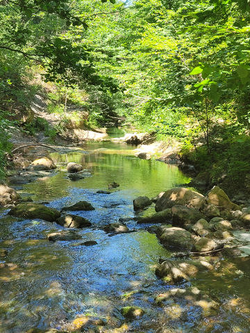 Christelle Lagarrigue energéticienne magnétiseuse Energie 21.jpg