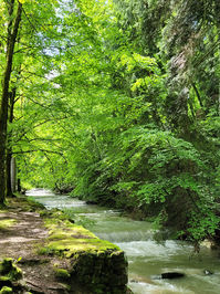 Christelle Lagarrigue energéticienne magnétiseuse Energie 24.jpg
