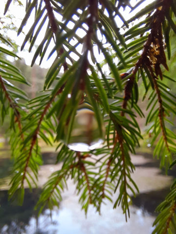 Christelle Lagarrigue energéticienne magnétiseuse Energie 23.jpg
