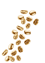 Dulcedo golden beans