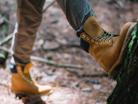 UNVEILING THE BEST NATIONAL PARK TRAILS IN THE U.S. - A HIKERS PARADISE