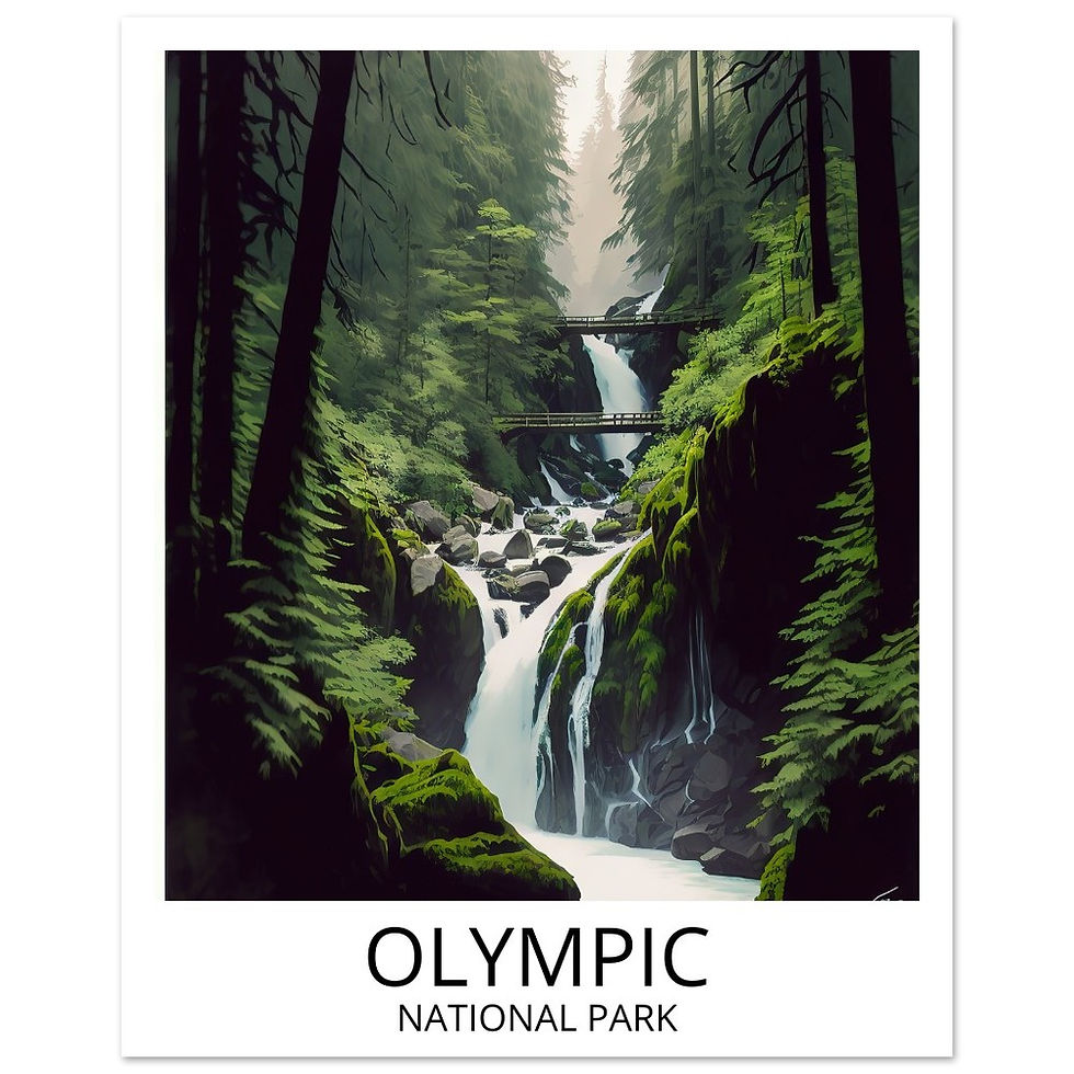 Thumbnail: Olympic National Park Poster - USA National Parks Travel Art Poster