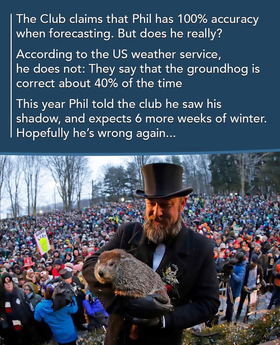 10. How often do you check the weather forecast on your phone?