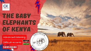 The Baby Elephants of Kenya (1).png