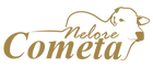 cometa.png