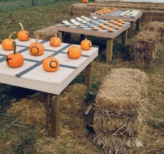 Blackburn Farm you can enjoy tons of family activities. 