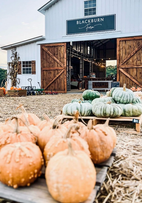 Blackburn Farm pumpkin patch in Lenoir City Tennessee. Family friendly pumpkin patch that has many family activites for everyone to enjoy.