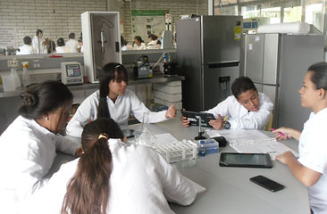SDC16704.JPG