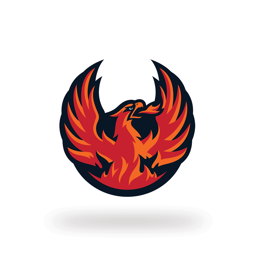 firebirds logo