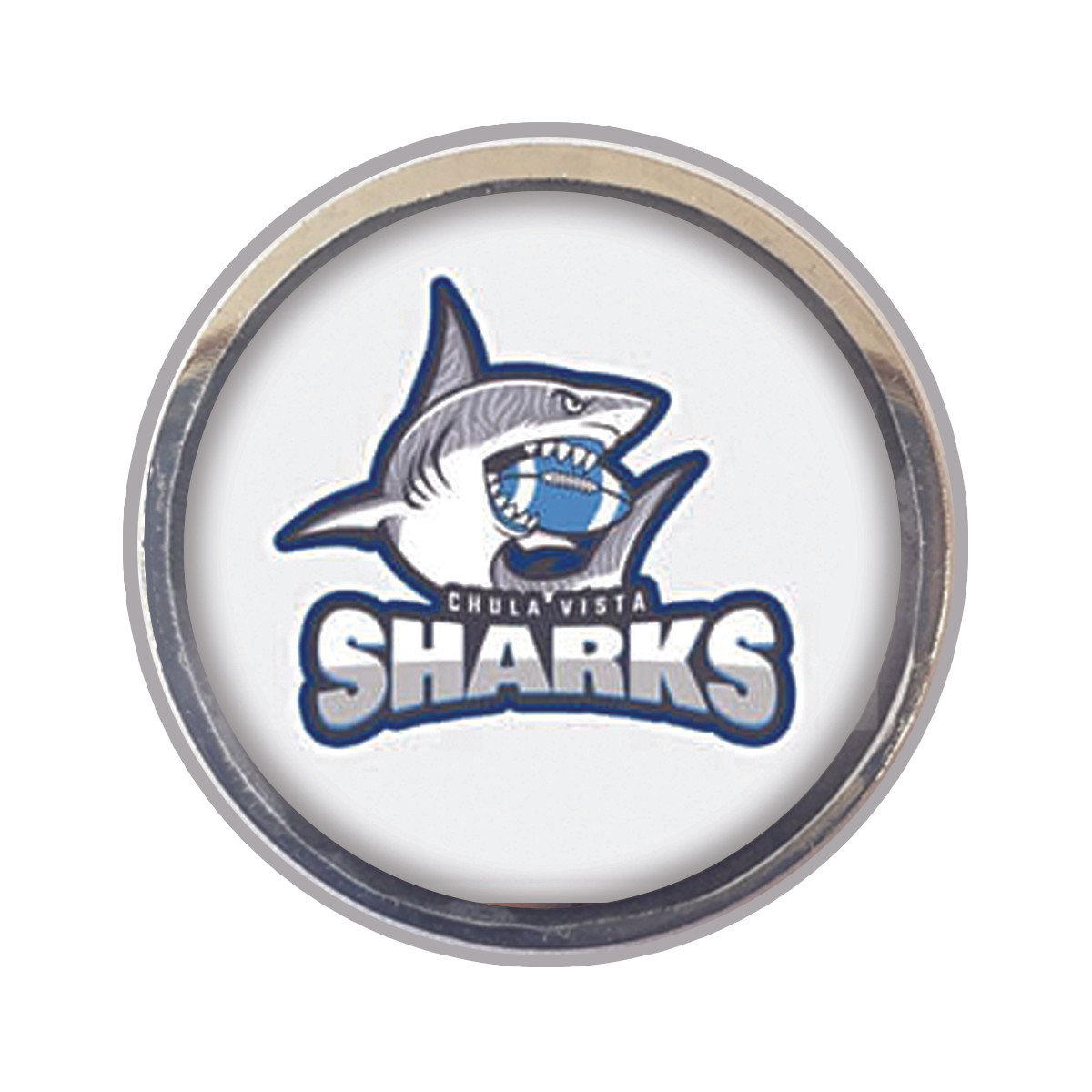 Sports Teams