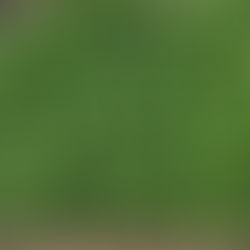 Dës Woch am Geméiskuerf - N°30 2022