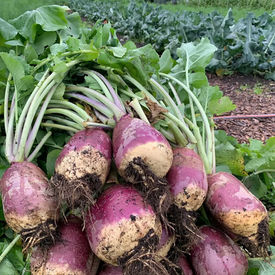 Geméiskuerf - N°29 2025