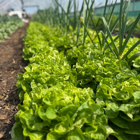 Geméiskuerf - N°01 2026