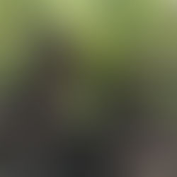 Dës Woch am Geméiskuerf - N°28 2021