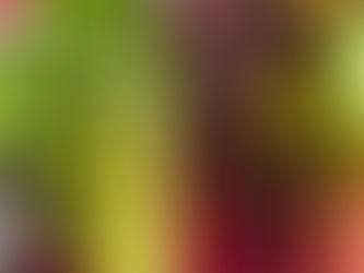 Dës Woch am Geméiskuerf - N°04 2024