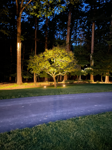 Lighting the Landscape