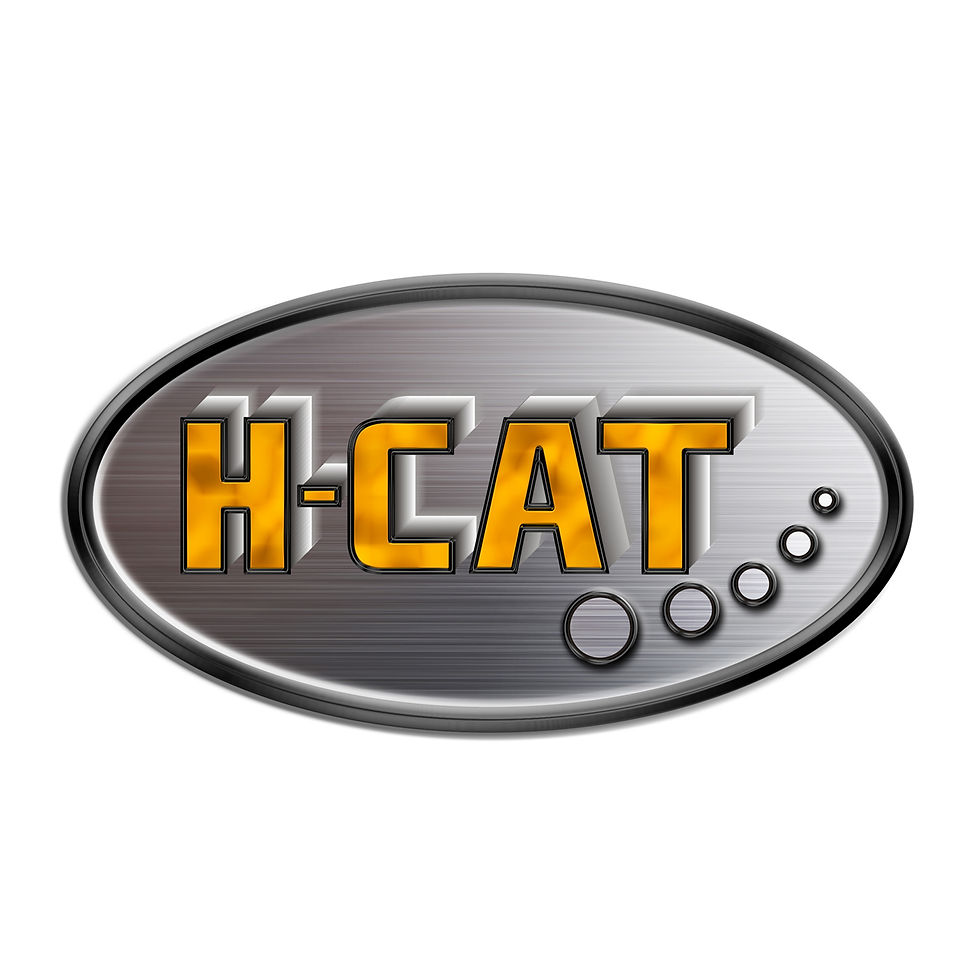 Logo Hierro Cat