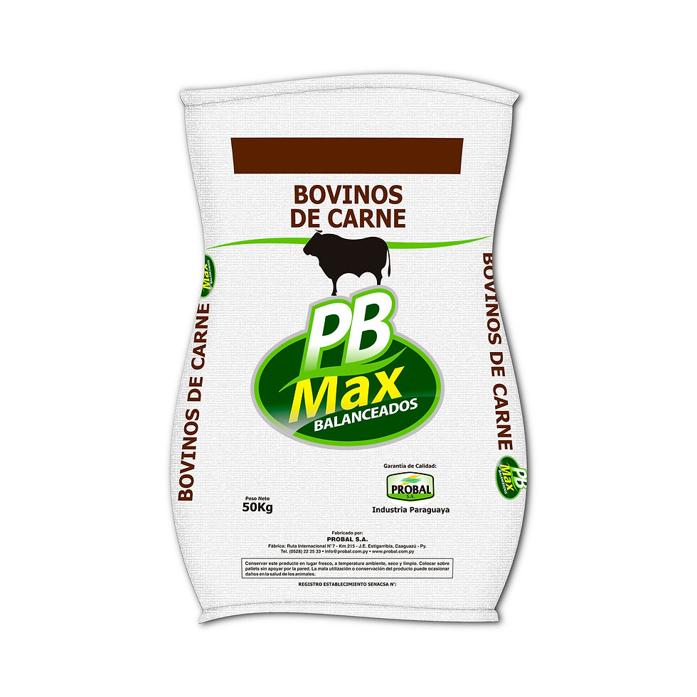 Dibujo Bolsa PB Max Bovinos de Carne