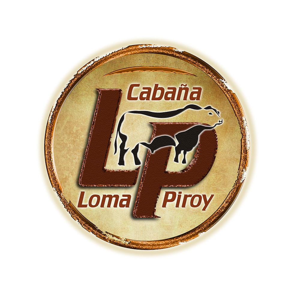 Logo_Cabaña_Loma_Piroy
