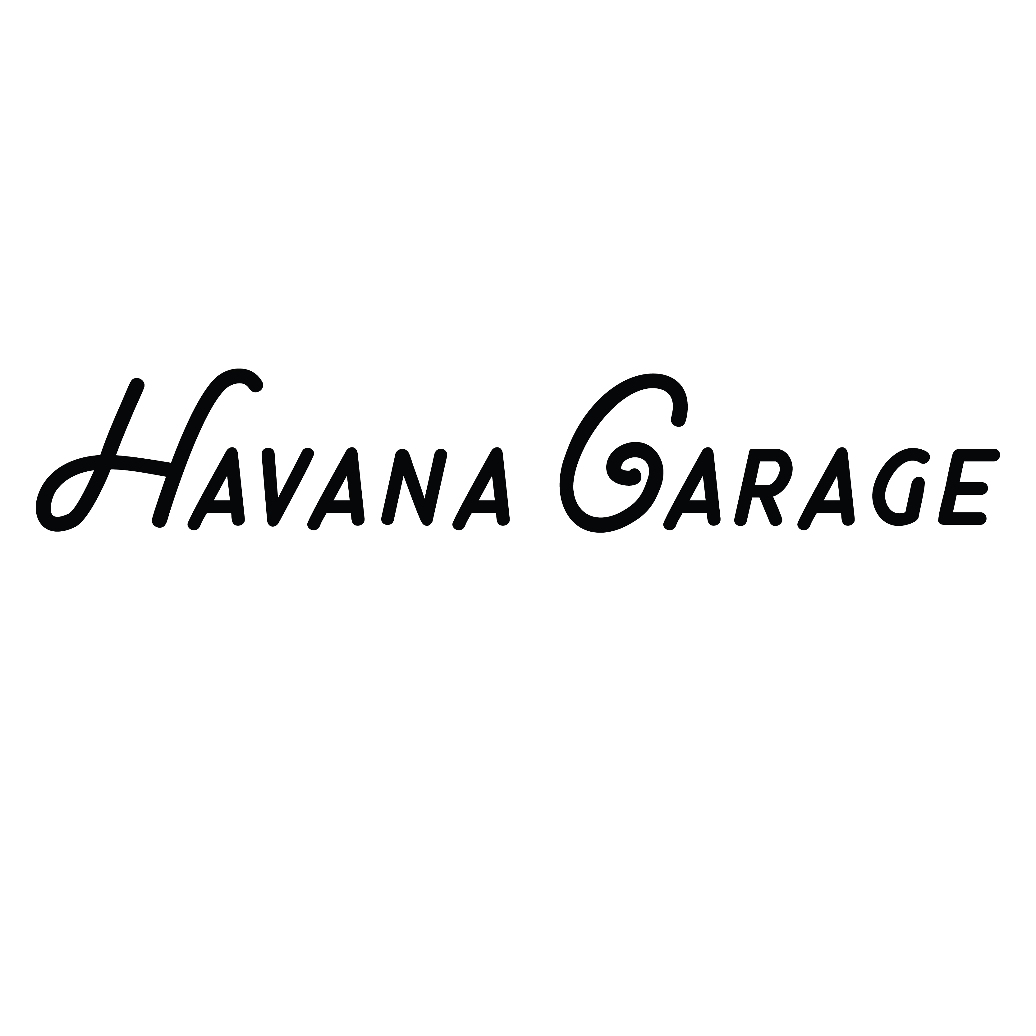 Havana Garage