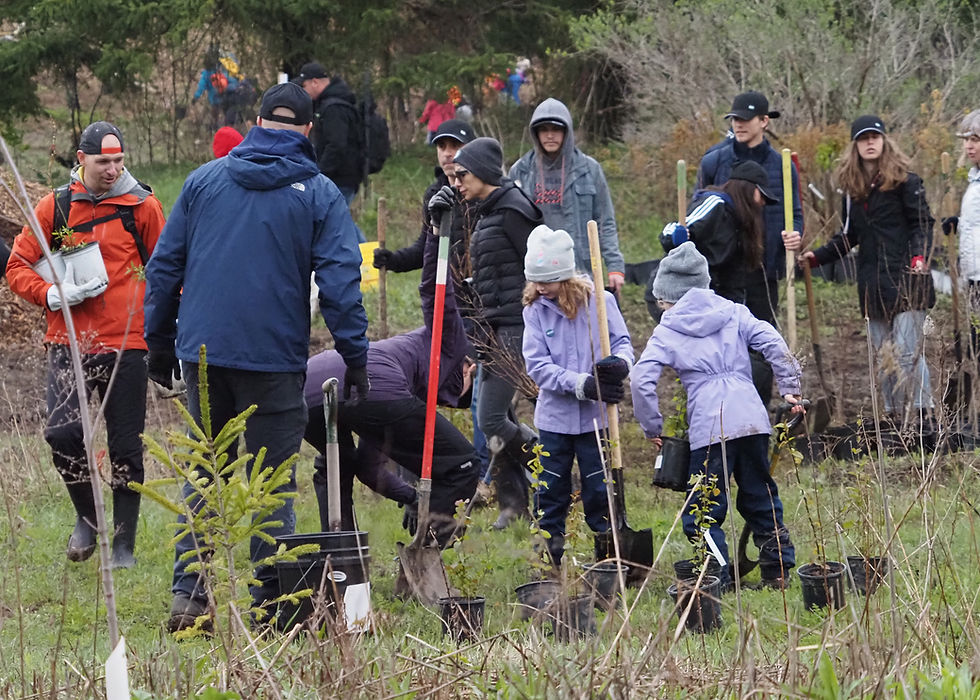 2023 04 29 Hillmount day 2, by Gary James P4300310 copy