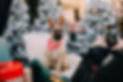 FoolingAround_Think Pawsitive_4.jpg