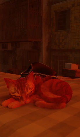 Stray - Review