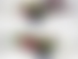 花意匠－開展應用