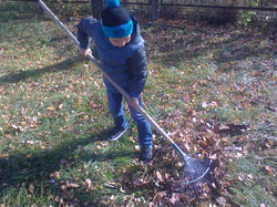 Осенняя уборка