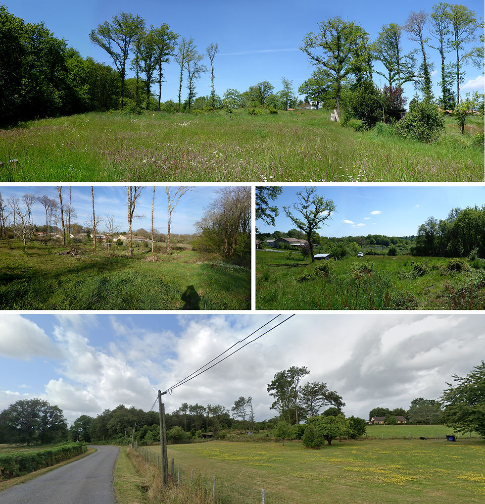 Terrain et environnement