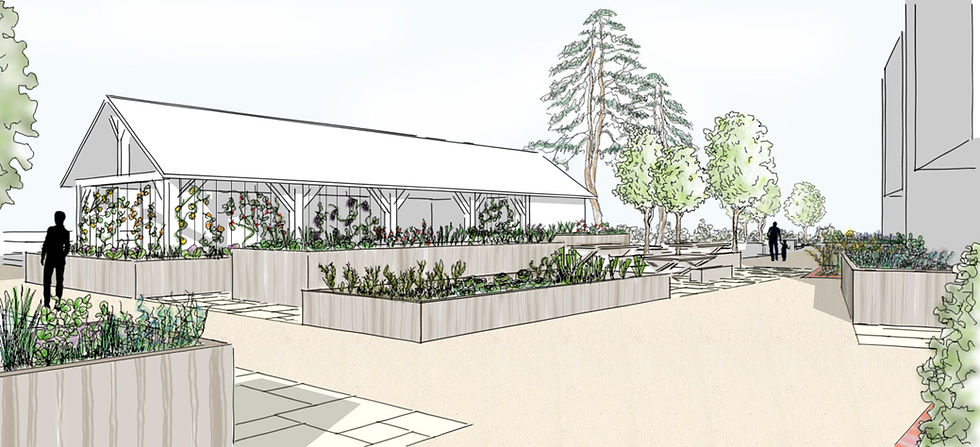 Perspective sur l'espace pédagogique