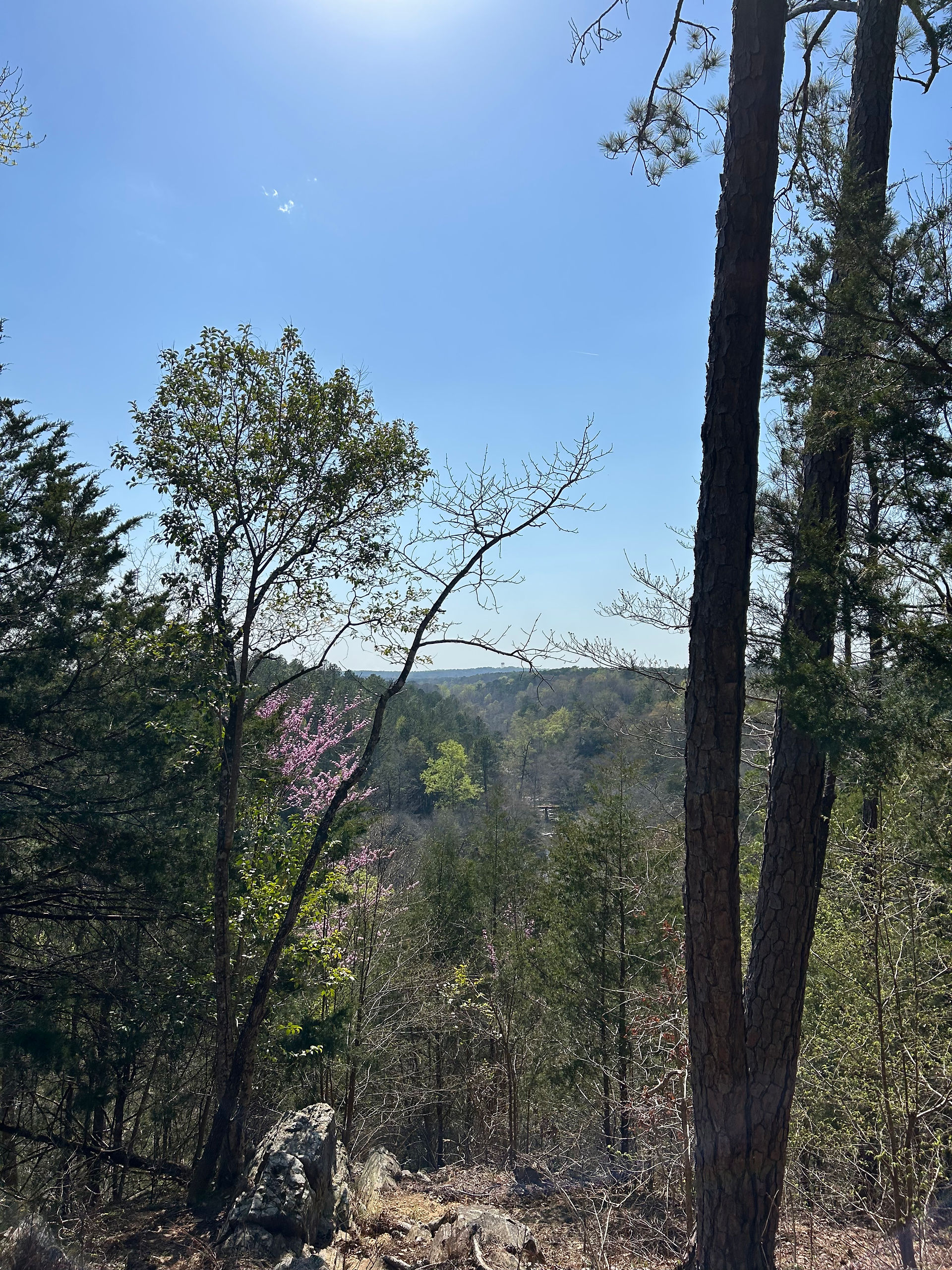 The horizon line of Chewacla State Park of distant mountains covered in trees.
