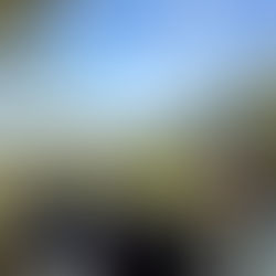 Auburn Students Hit the Trails of  Pine Mountain to Learn The Basics of Backpacking