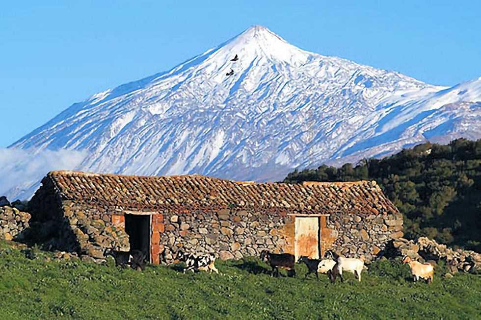 Teno-Alto.jpg