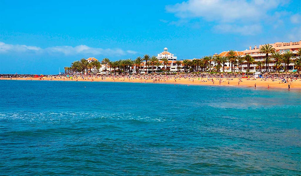 Playa-del-Camison-Playas-de-Tenerife-sur (1).jpg