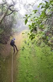 images - 2025-10-26T132334.321.jpg