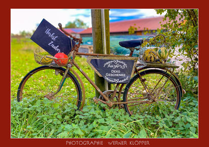 Lost Bike, Fahrrad, alte Fahrräder, Blumenschmuck auf dem Fahrrad, Radldeko, Fahrraddeko, verlassene Räder, Bike, Radlschmuck, abgestellte Fahrräder