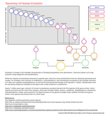 Taxonomy of Human Evolution