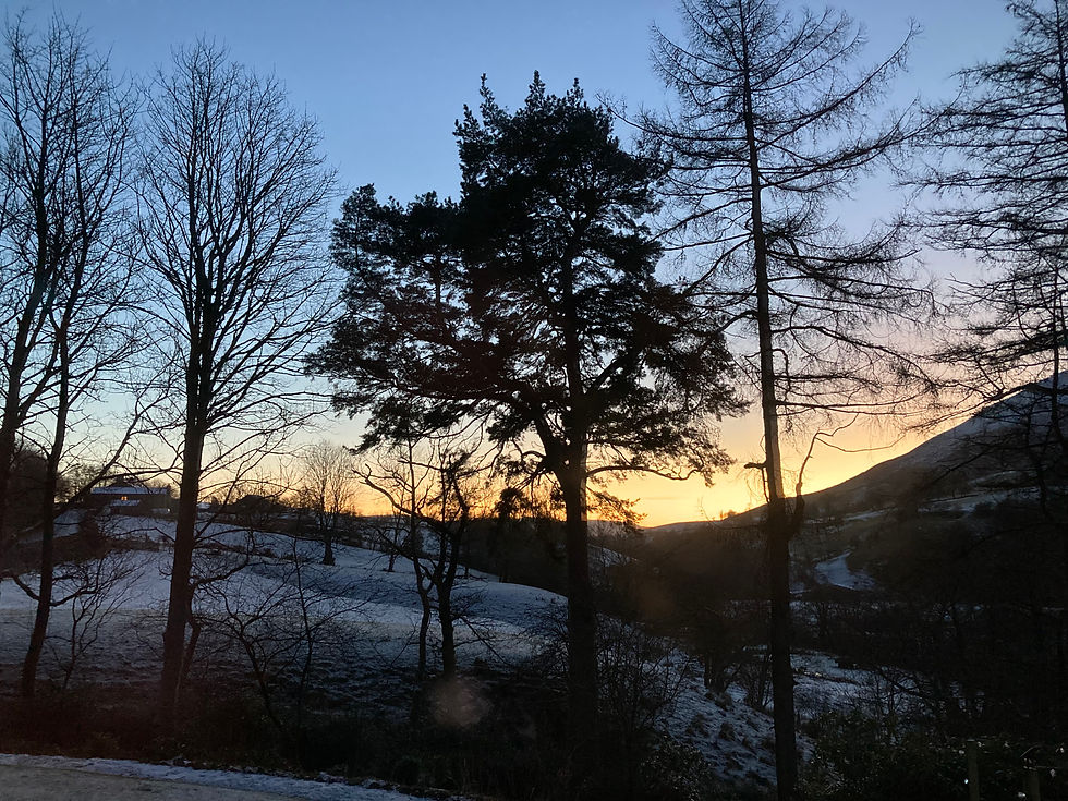 View from the house