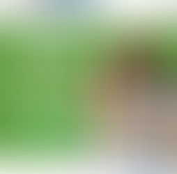 INICIATIVA UM PAÍS, UM PROJETO 2026 - oportunidade para cidadãos moçambicanos