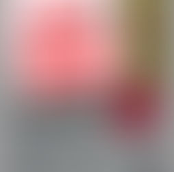 BOLSAS DE ESTUDO PARA MESTRADO DA DAAD - oportunidade para cidadãos moçambicanos