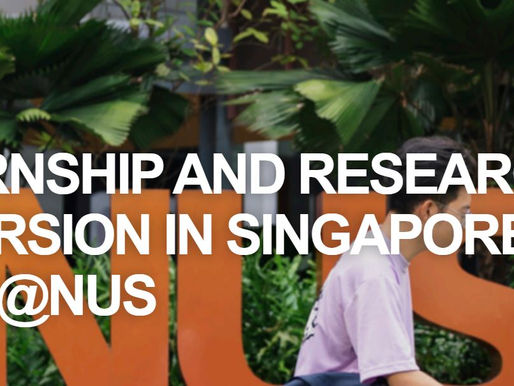 ESTÁGIO E IMERSÃO EM PESQUISA EM SINGAPURA(IRIS) @NUS