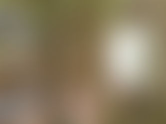 FELLOWSHIP MERCEDES-BENZ beVisioneers 2025 para jovens inovadores (totalmente financiada) - oportunidade para cidadãos portugueses