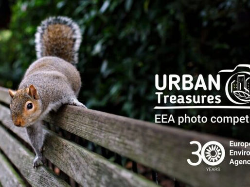 CONCURSO DE FOTOGRAFIA: Tesouros Urbanos EEA 2024 - oportunidade para cidadãos portugueses