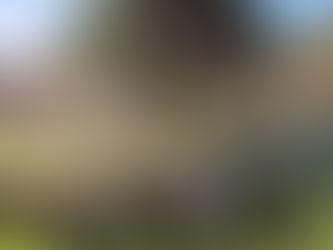 PROGRAMA DE BOLSISTAS GETTY 2025-2026 (oportunidade de bolsa)